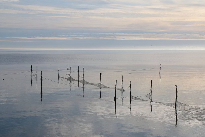 Still water by Corinna Vollertsen