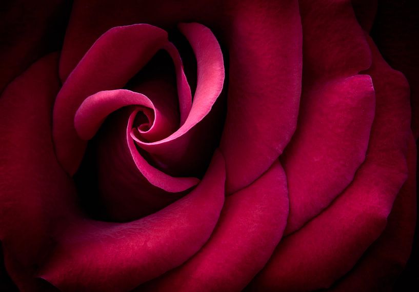 Swirl van Corinna van der Ven