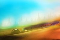 Marcher dans un monde de rêve