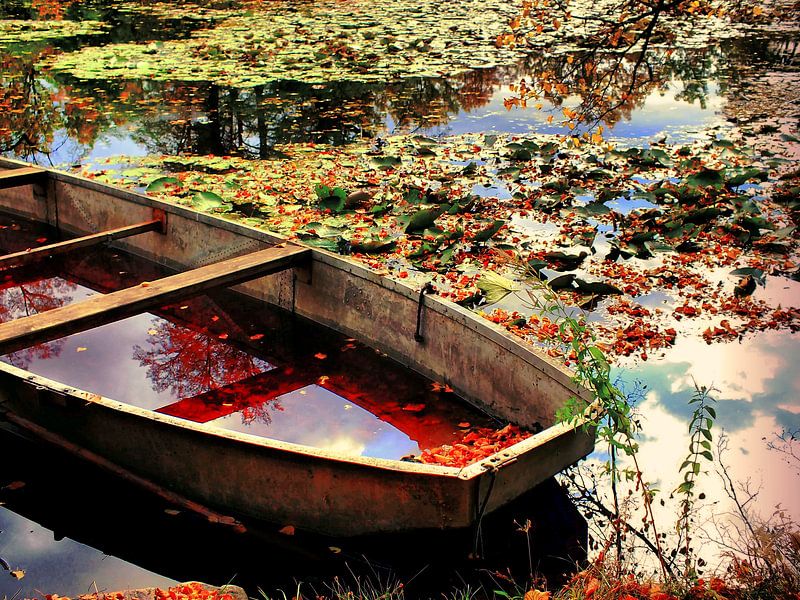 Blutrot von Ilona Picha-Höberth