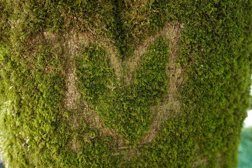 Natural Love von Jan Piet Hartman