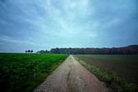 Ländliche Gebiete in den Niederlanden