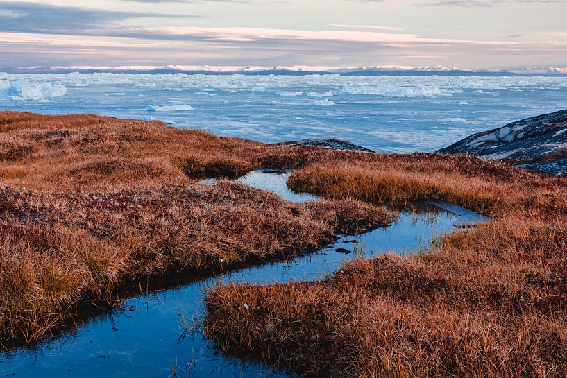 Eau claire, plantes de dunes pour la baie avec la banquise au Groenland par Martijn Smeets