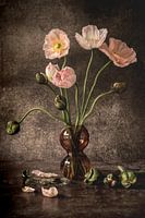 Still life with pink poppies
