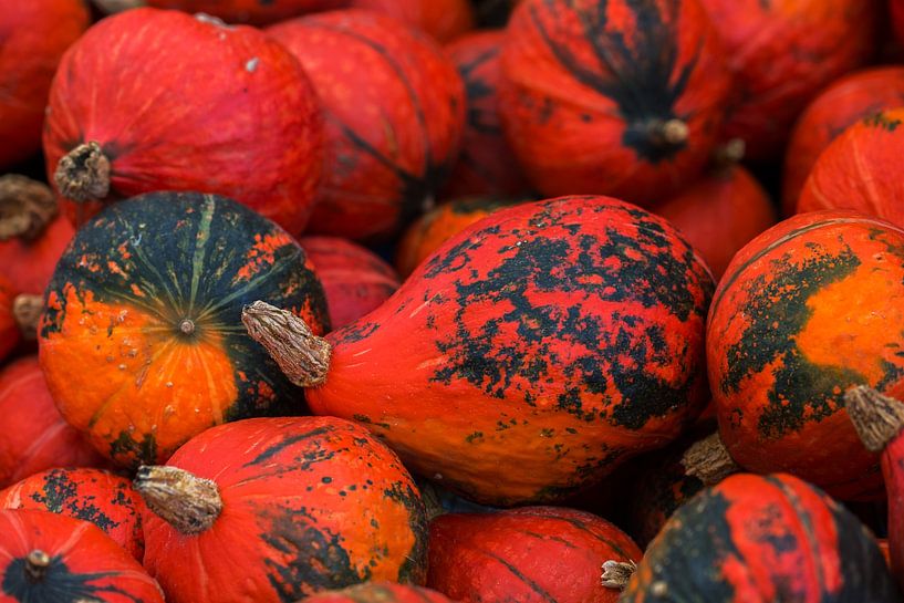 Hokkaido von Sergej Nickel