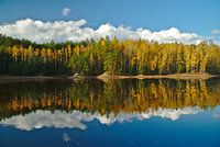 Herbstliche Reflexionen