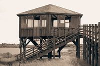 Vogelhäuschen in Sepia