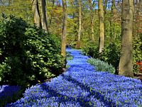 Anders dan je verwacht