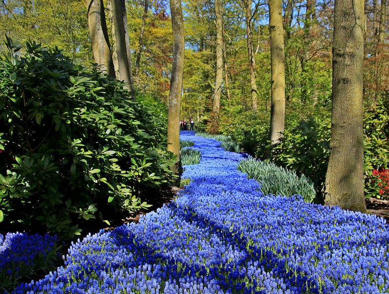 Anders dan je verwacht by Erna Fotografie
