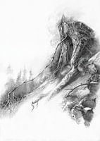 Landschaft des Schwarzwaldes