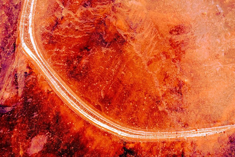 Résumé de Nature 5 par Fred Schuch