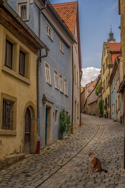 Cat atmosphere in a picturesque street of Rothenburg ob der Tauber by Tonny Verhulst