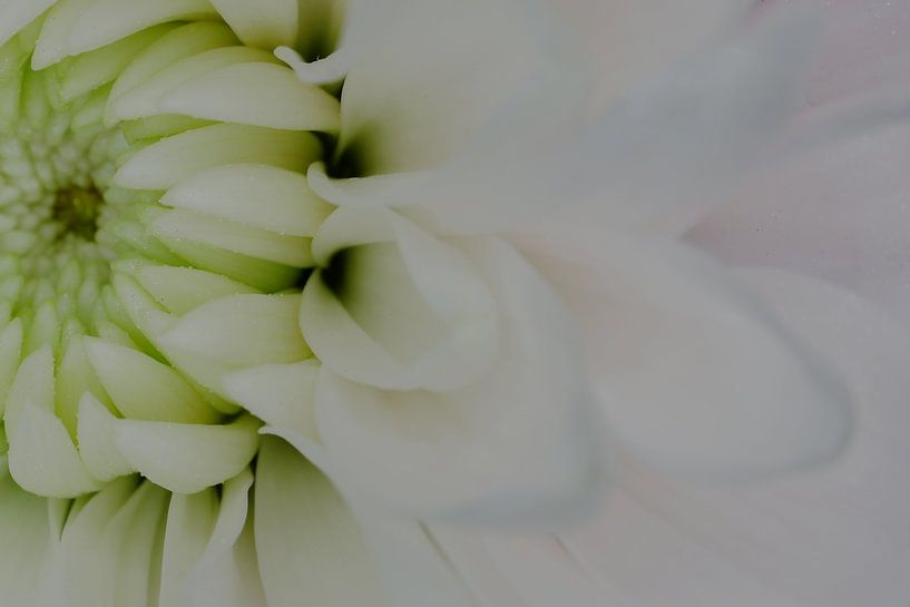 Makro von Marieke Deinum