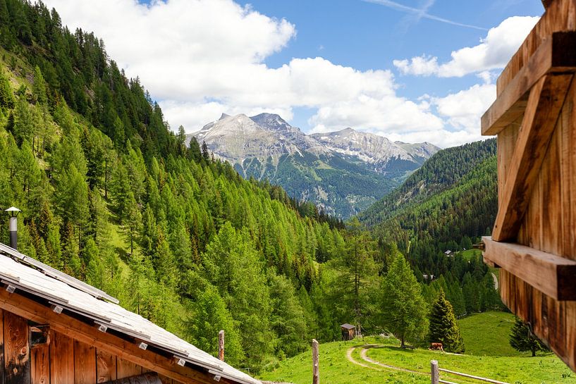 Blick aus der Almhütte von Studio17