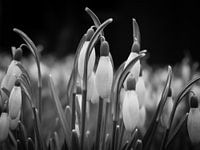 Neue Anfänge und Hoffnung