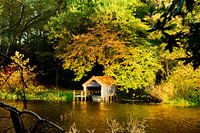 Hangar à bateaux en automne