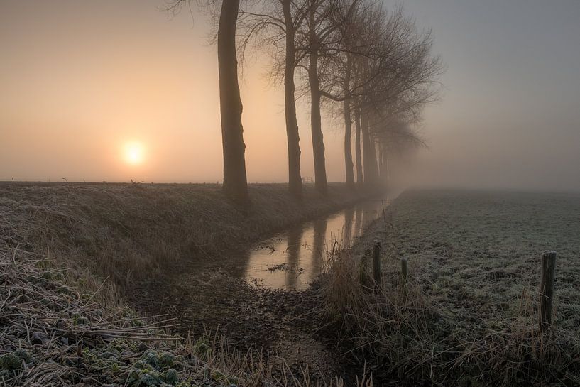 Lever de soleil avec brouillard par Moetwil en van Dijk - Fotografie
