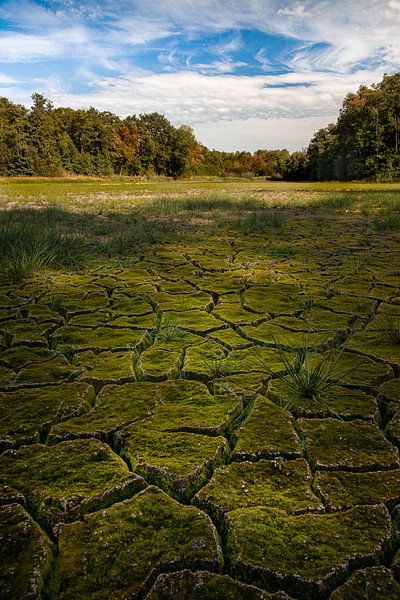 Übergang vom Sommer zum Herbst von Sjors Gijsbers