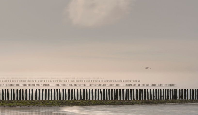 0427 Flight over the poles von Adrien Hendrickx