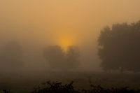 Opkomende zon door de mist