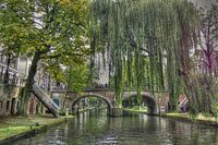 Canals of Utrecht