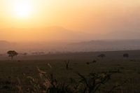 Entre savane et ciel - Les montagnes du Sud-Soudan en vue