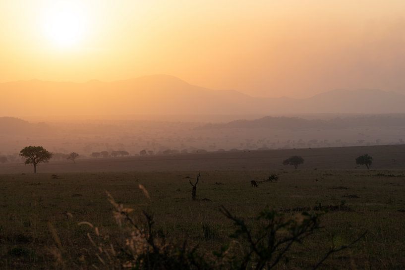 Zwischen Savanne und Himmel - Südsudans Berge in Sicht von Rick Massar