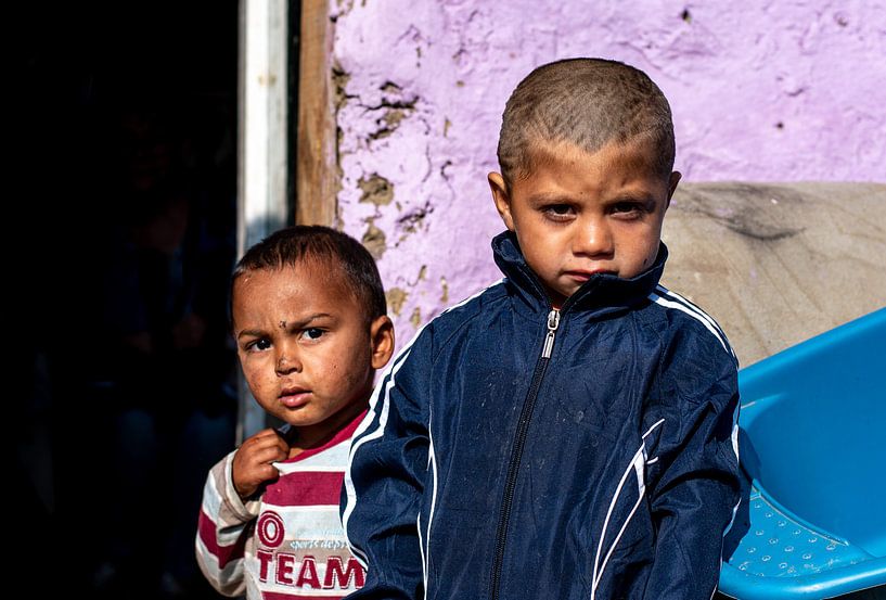 Brüder von Amber de Jongh