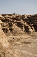 Bardenas Reales: Halbwüstengebiet