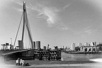 Erasmusbridge at Rotterdam. The Netherlands