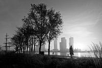 Manhattan an der Maas