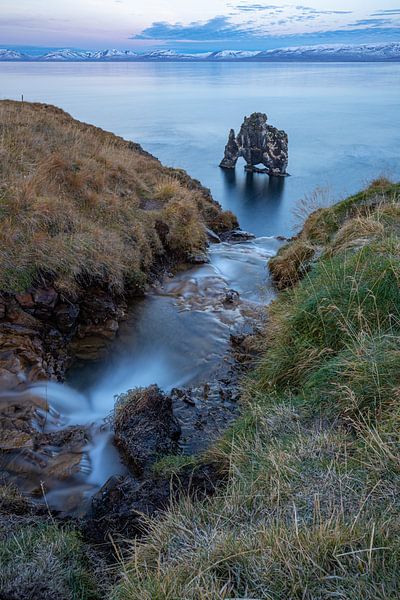 Dinosaurier-Felsen in Island (Hvitserkur) 3 von Albert Mendelewski