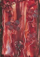 Bruine bloemenpracht