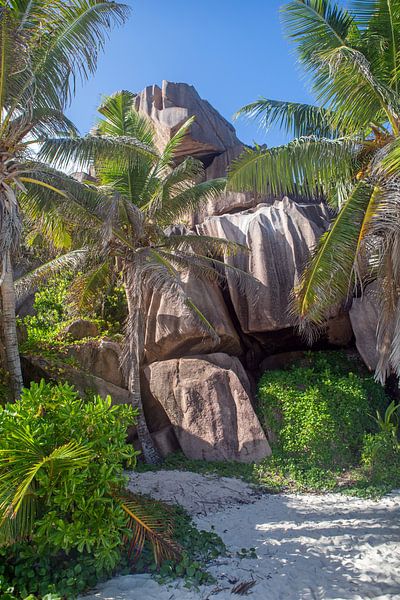 La Digue (Seychellen) - Grand Anse Beach von t.ART