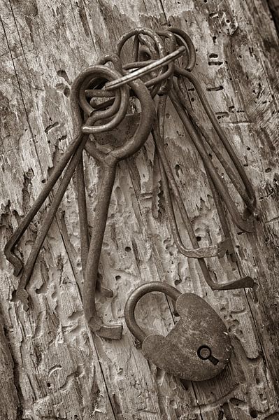 Master Key van Jörg B. Schubert