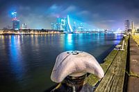 Abendlicht von Rotterdam