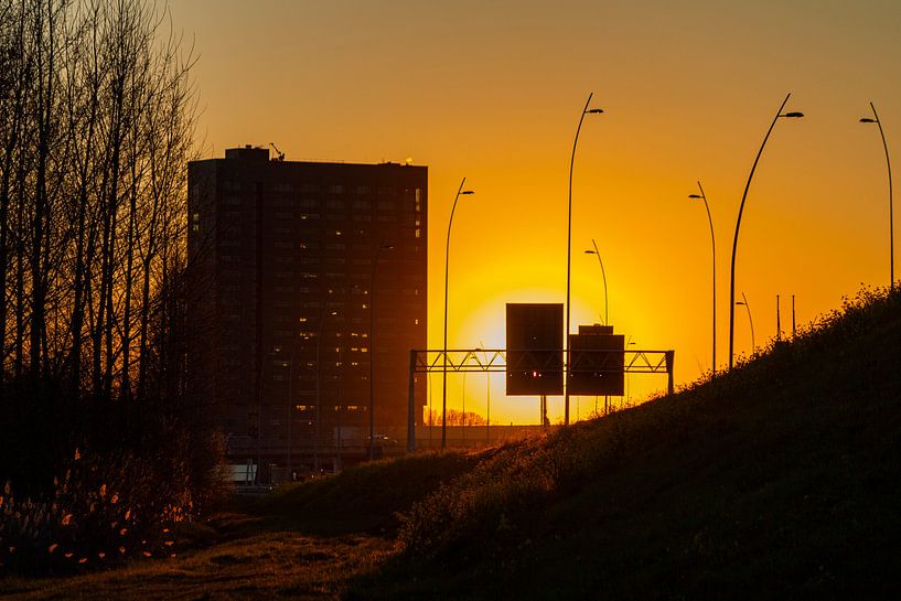 coucher de soleil par ton vogels