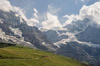 Jungfraubahn sur le chemin de la Jungfrau.