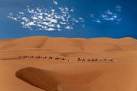 karavaan in de woestijn