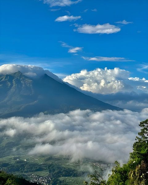 Landschaft von Ricko Van Houten