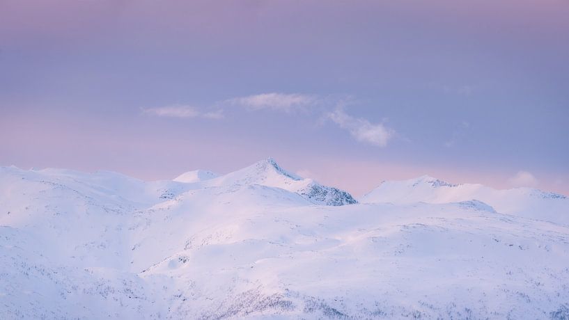 Senja von Esmeralda holman