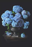 Hortensia stilleven stijl Oude Meesters