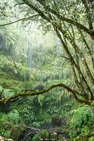 50 Schattierungen von Grün