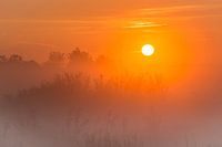 Zonsopgang in de polder bij Uithoorn