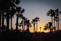 Tropischer Sonnenuntergang