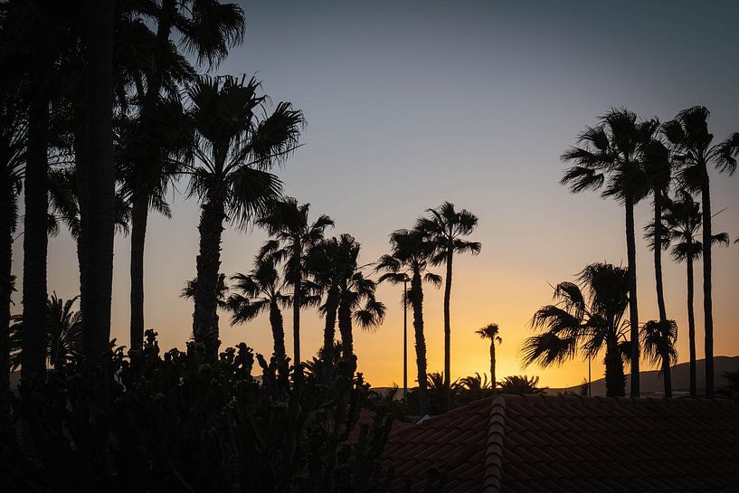 Tropical sunset by Xander Broekhuizen