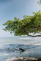 Photographie de voyage 