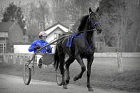 Duindigt.01  Davy Boko, volle broer van Aida Boko