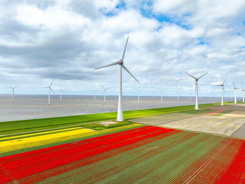Tulpen auf landwirtschaftlichen Feldern mit Windrädern im Hintergrund von Sjoerd van der Wal Fotografie