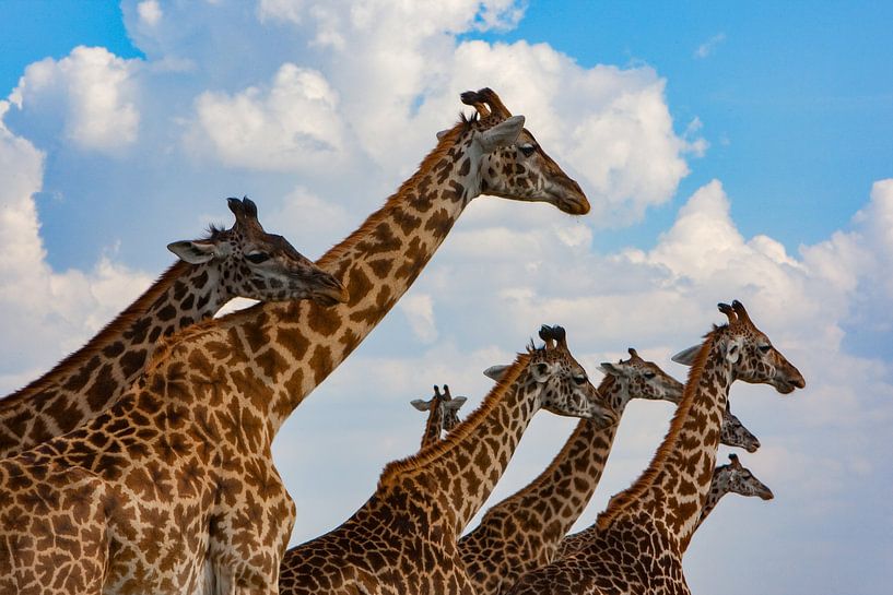 eine ganze Menge von Peter Michel